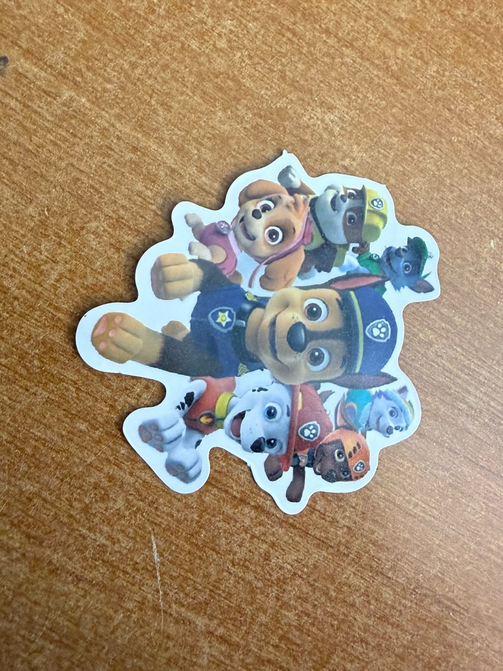 Paw Patrol Character Sticker - Multi-Color
